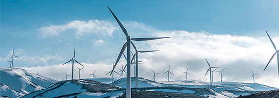 Bonus Ecologique 2021 : Comment en profiter en tant que professionnel ?